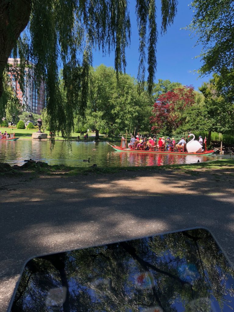 Reading by the Frog Pond