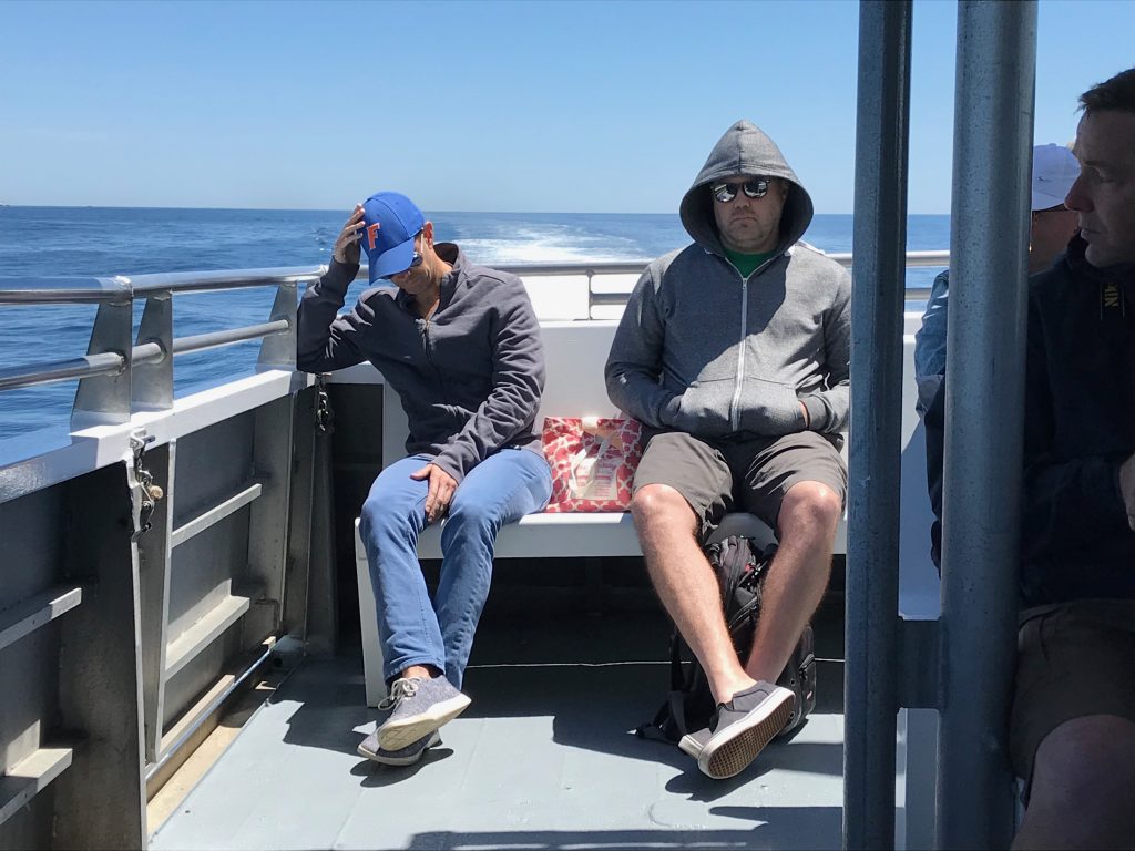 Seasick on a whale-watching boat