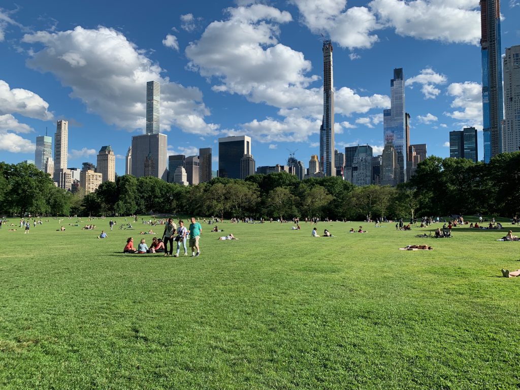 Central Park - NYC